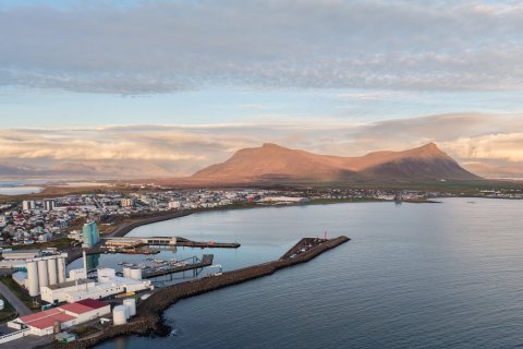 Við leitum að bókara