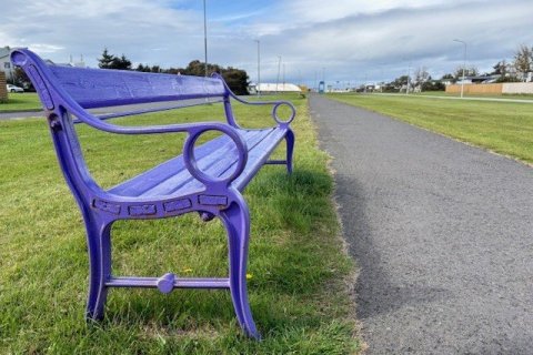 Fjólublár bekkur við Höfða vekur athygli