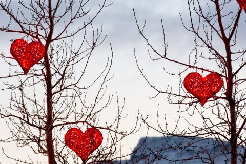 Jólakúlujól fjölskyldunnar