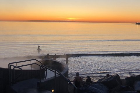 Guðlaug valin í norrænt samstarfsverkefni á sviði sjálfbærni