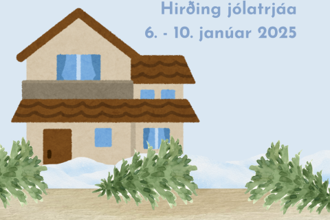 Hirðing jólatrjáa 6.-10. janúar 2025
