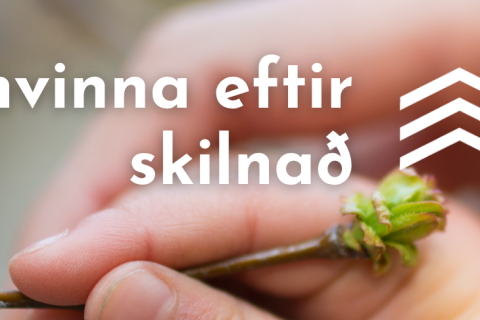 Námskeið fyrir foreldra barna sem búa á tveimur heimilum