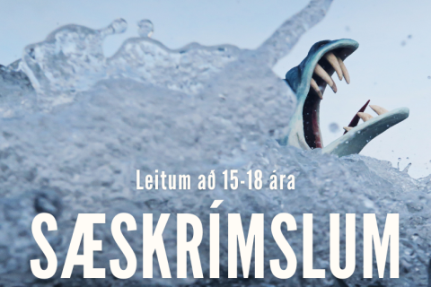 Við leitum að 15-18 ára sæskrímslum!