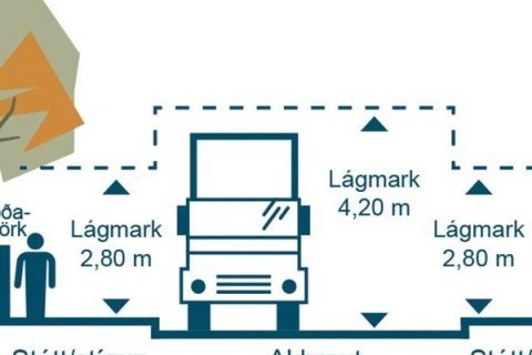 Snyrting gróðurs á lóðarmörkum