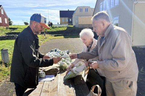 Litla kartöfluhátíðin vel sótt