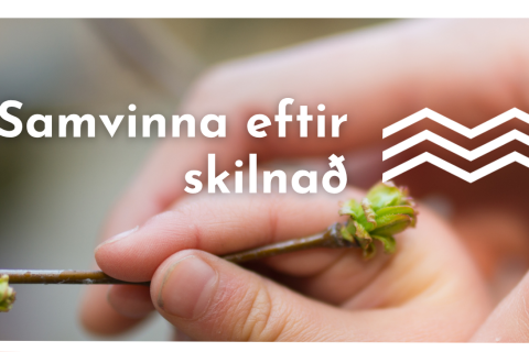 Námskeið fyrir foreldra barna sem búa á tveimur heimilum