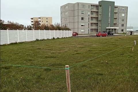 Tilraunareitur